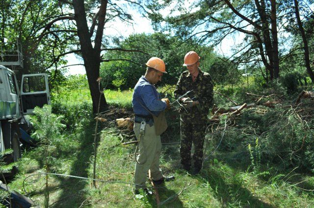 Енергетичний колапс: буревій залишив без світла 181 населений пункт